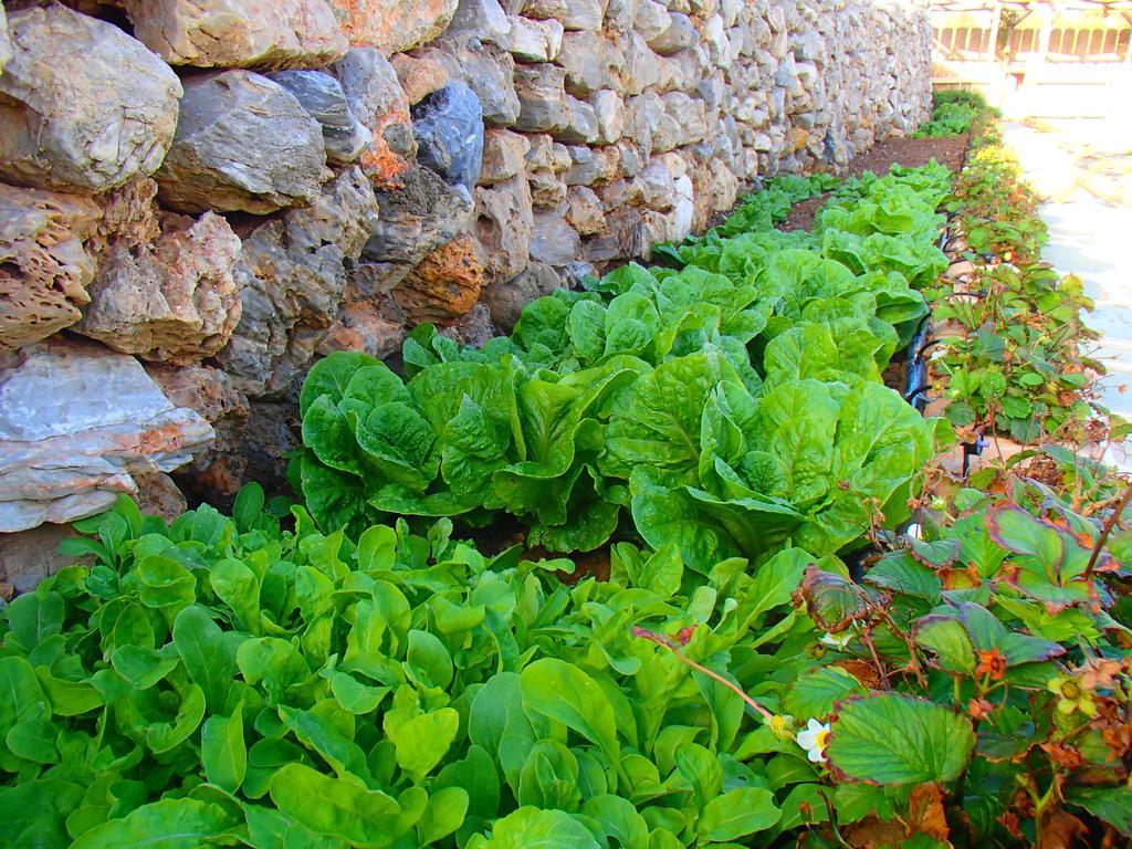 Pavlosx2 Folégandros Esterno foto