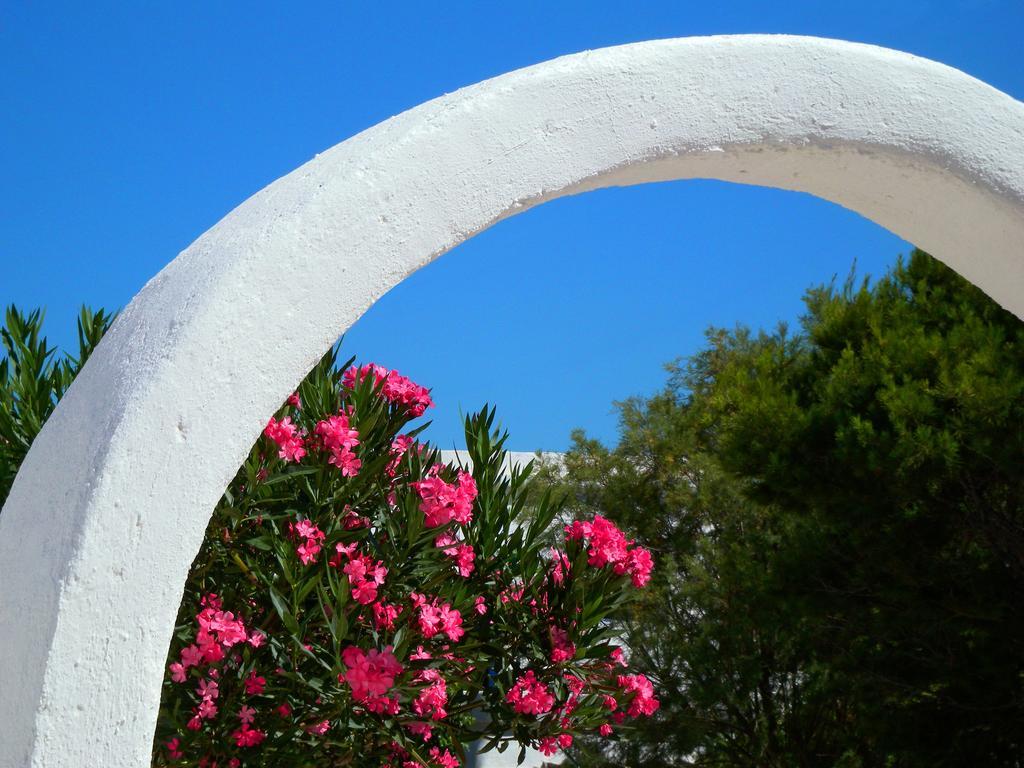 Pavlosx2 Folégandros Esterno foto